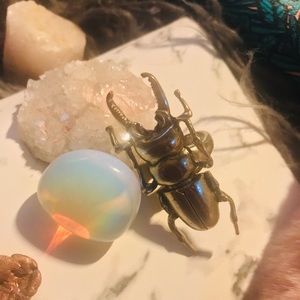 Pretty Vintage, Modern Aesthetic, Insect Jewelry